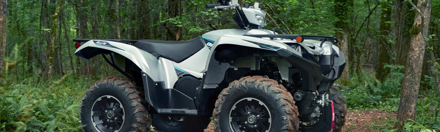 2021 Yamaha Grizzly 700 for sale in Redline Powersports Sumter, Sumter, South Carolina